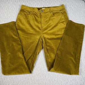 LOFT Corduroy Velvet Pants in Yellow/Green Sz 10